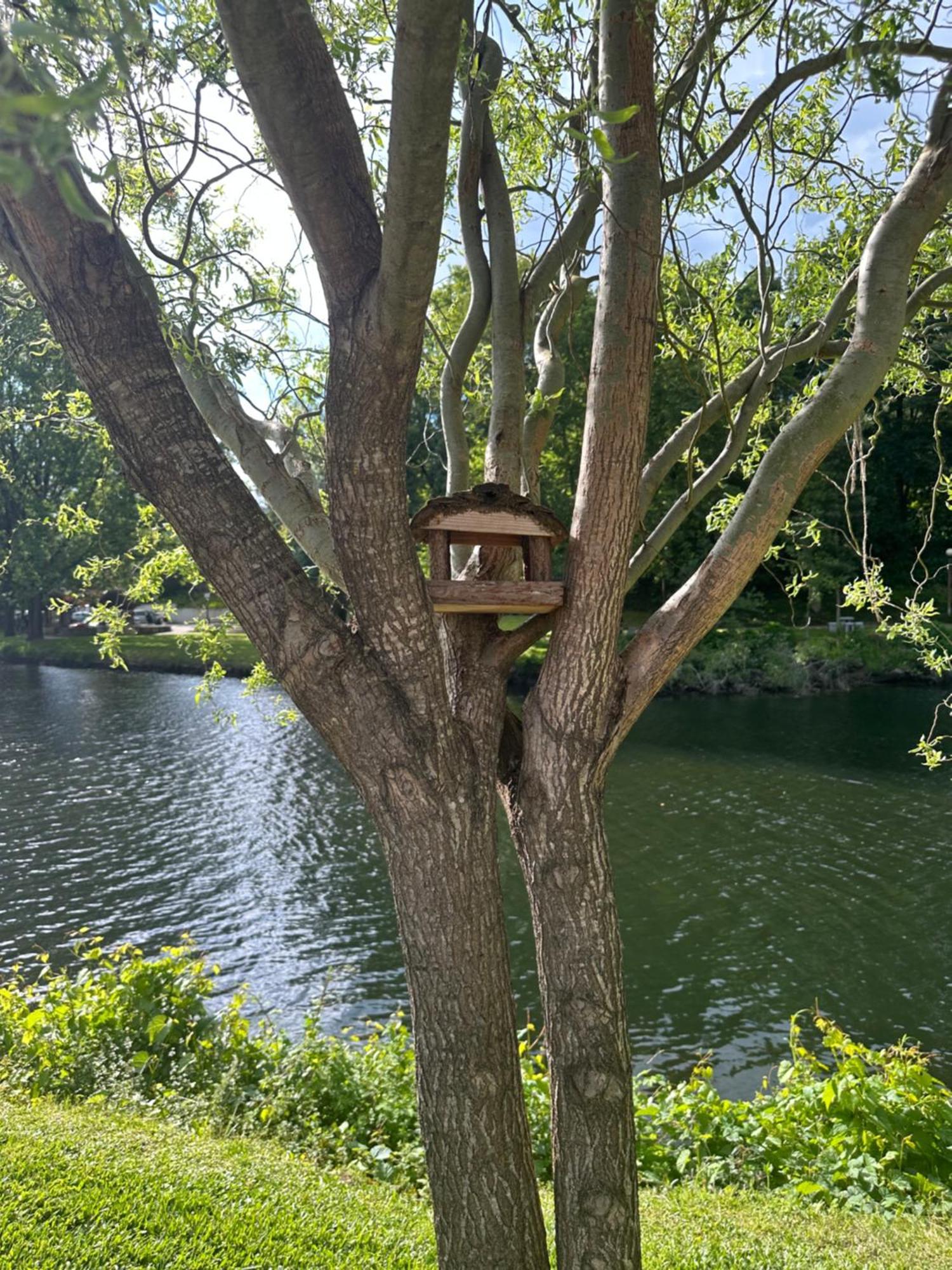 Nature E Spa Al - Termas Saude E Beleza, Totalmente Renovado - Piscinas Municipais Em Frente - Epoca Julho A Setembro São Pedro do Sul Eksteriør bilde